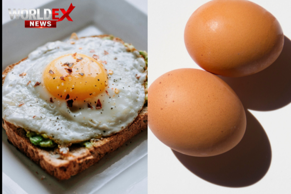 Experts Say Eggs Provide All 9 Essential Amino Acids Needed by the Human Body