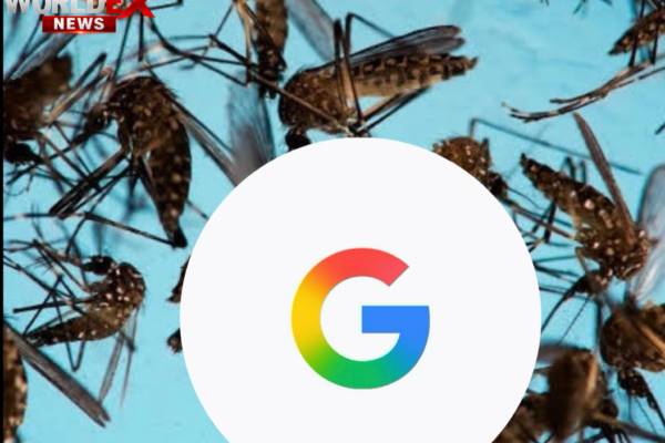 Google Seeks Approval to Release 32 Million Mosquitoes in California and Florida to Fight Disease